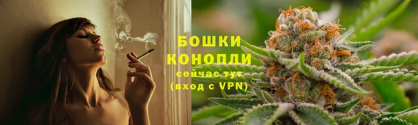 ГАЛЛЮЦИНОГЕННЫЕ ГРИБЫ Ельня